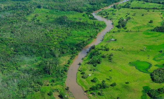 New Brazil-led fund aims to put forest protection at the heart of climate action